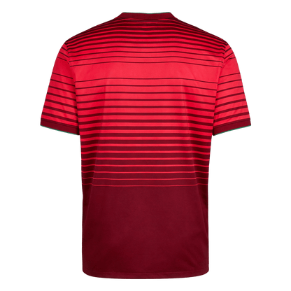 Retro Men's Portugal 2014 Special Soccer Jersey