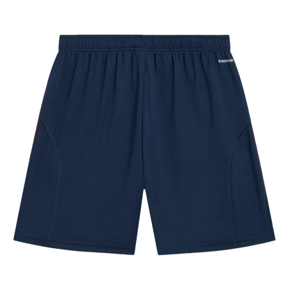 Men's Arsenal 2025/26 Away Soccer Shorts