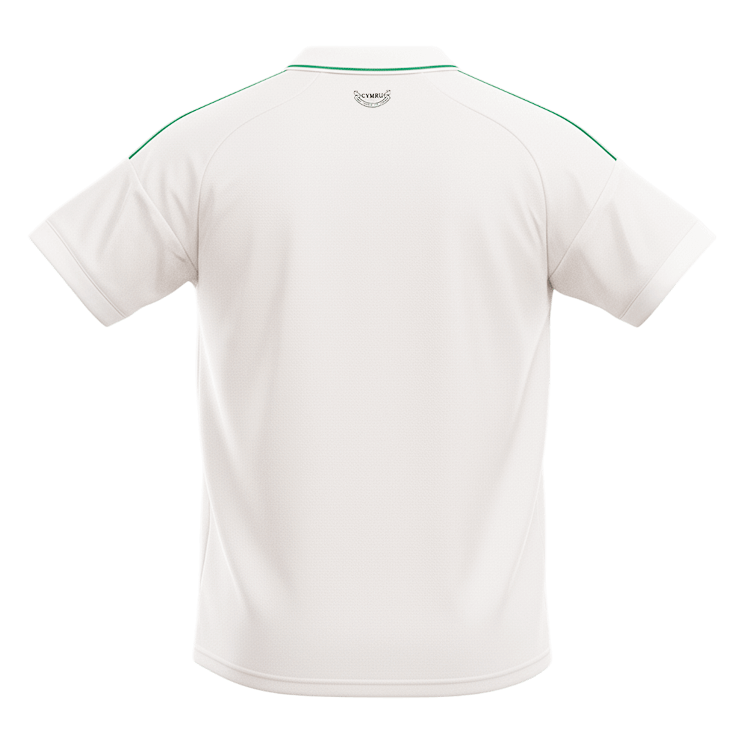Men's Wales World Cup 2026 Away Soccer Jersey