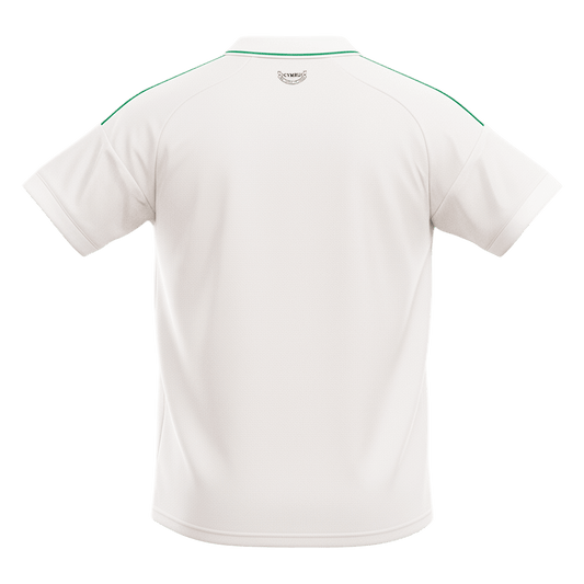 Men's Wales World Cup 2026 Away Soccer Jersey